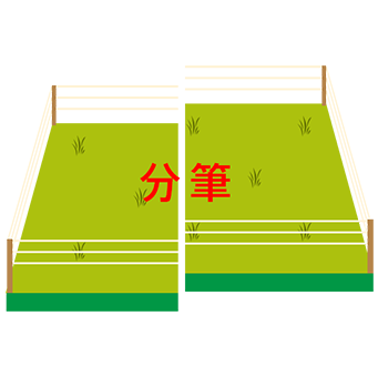 土地を分けたい
