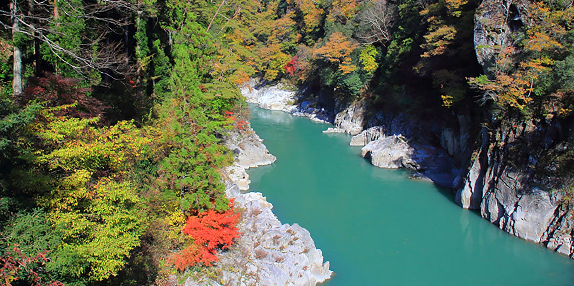 長野県土地家屋調査士会所属